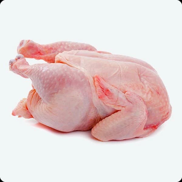 Premium fresh chicken β PrimeBird